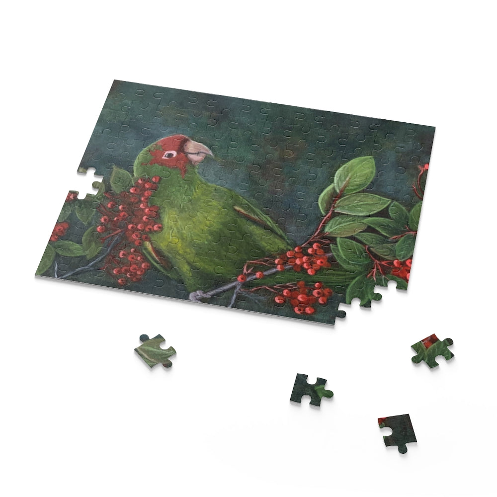 Puzzle (120, 252, 500-Piece)